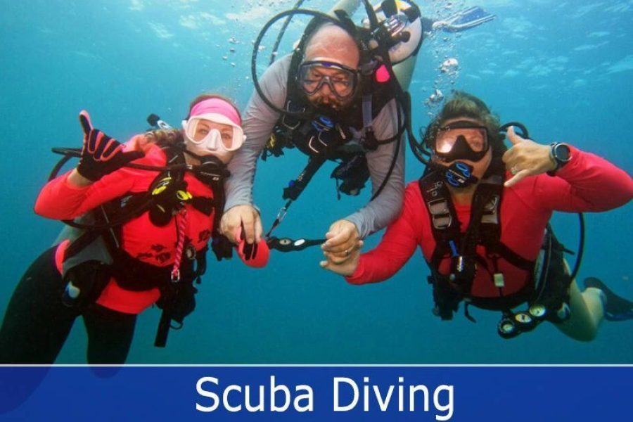 TRY SCUBA DIVING BOAT (with transfers)